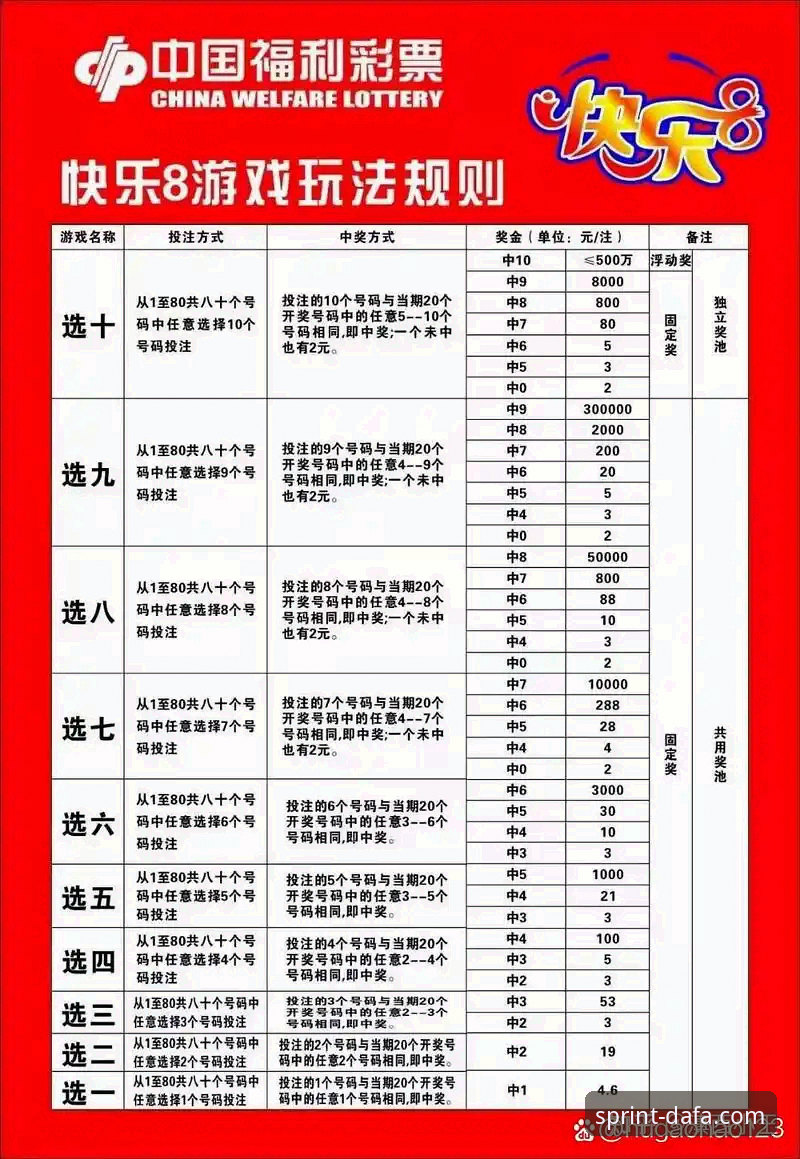 DaFa888用户评价如何？新手体验体育投注的真实感受是什么？